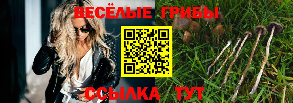 Балтийск  наркота  Вход с VPN  Галлюциногенные грибы мухоморы 
