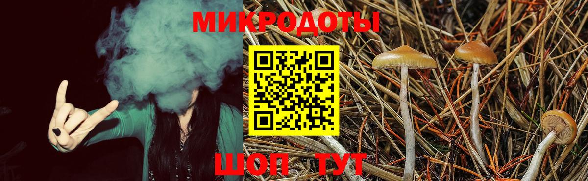 Галлюциногенные грибы Magic Shrooms Балтийск